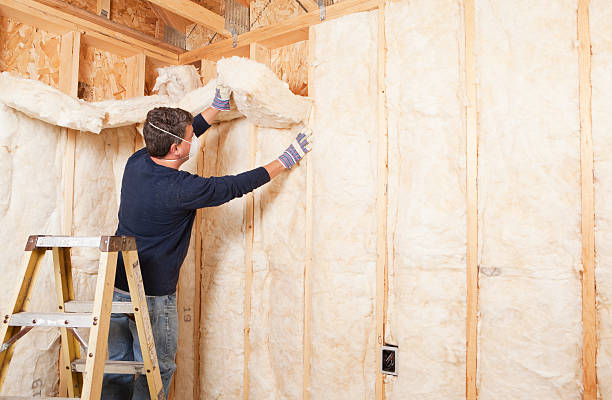 Best Batt and Roll Insulation  in Maud, TX